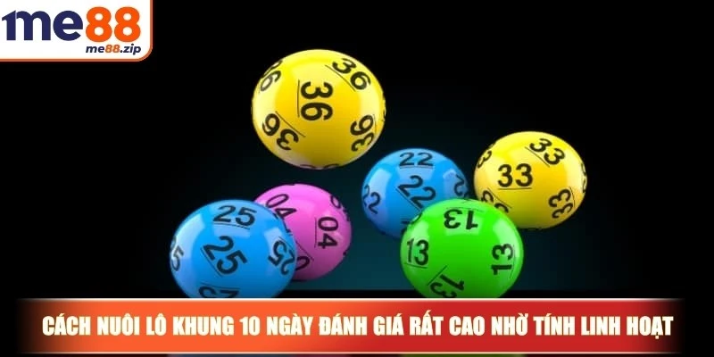 Cách nuôi lô khung 10 ngày được đánh giá rất cao nhờ tính linh hoạt
