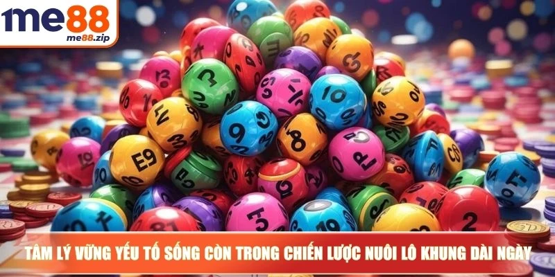 Tâm lý vững là yếu tố sống còn trong chiến lược nuôi lô khung dài ngày