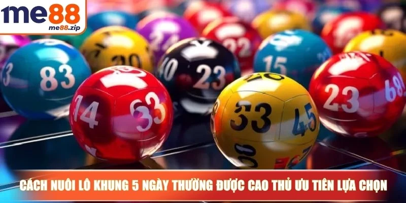 Cách nuôi lô khung 5 ngày thường được các cao thủ lâu năm ưu tiên lựa chọn